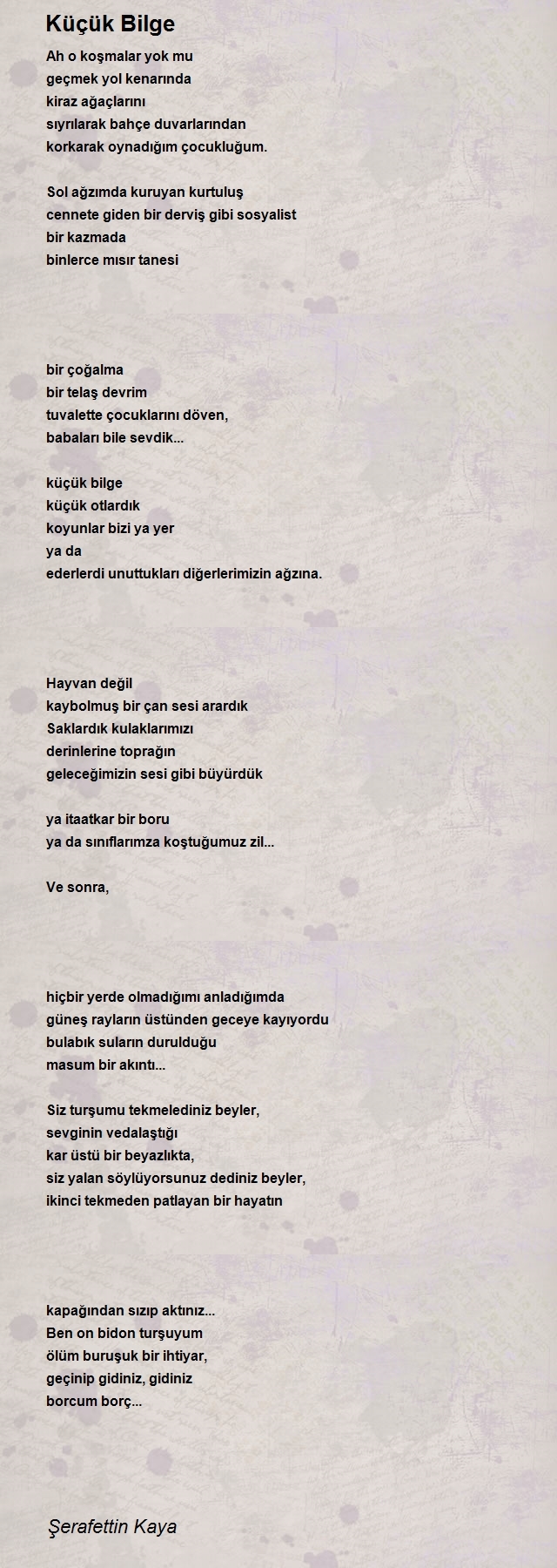 Şerafettin Kaya
