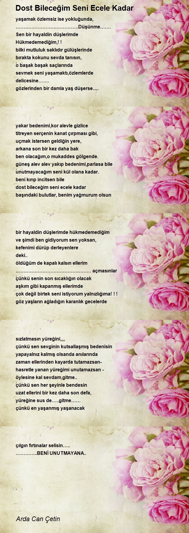 Arda Can Çetin