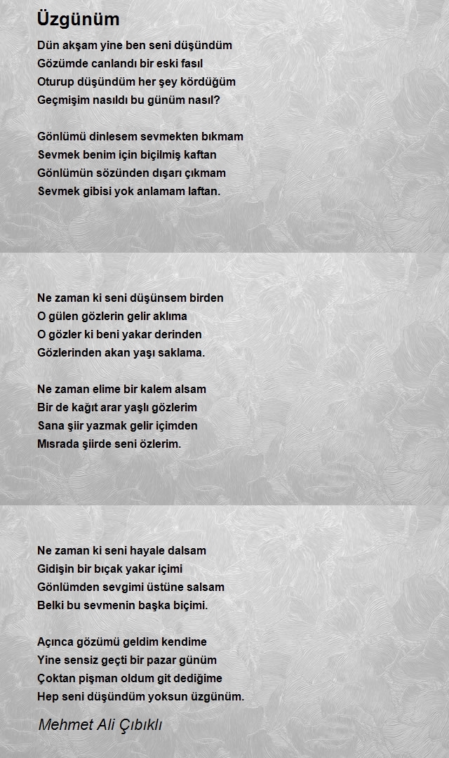 Mehmet Ali Çıbıklı