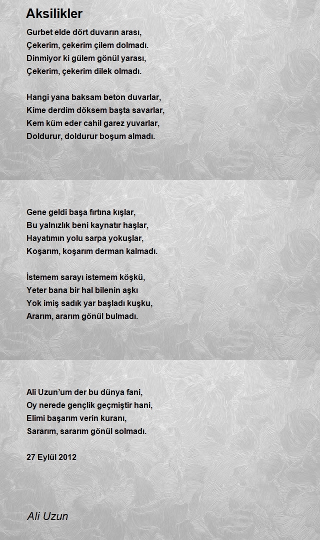 Ali Uzun