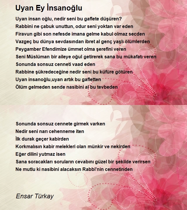 Ensar Türkay