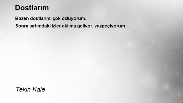 Tekin Kale