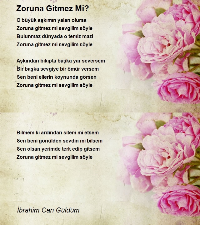 İbrahim Can Güldüm