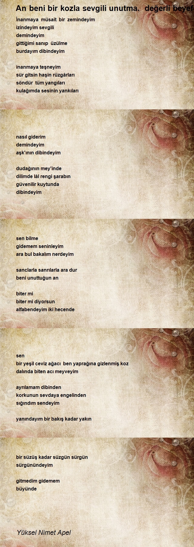 Yüksel Nimet Apel