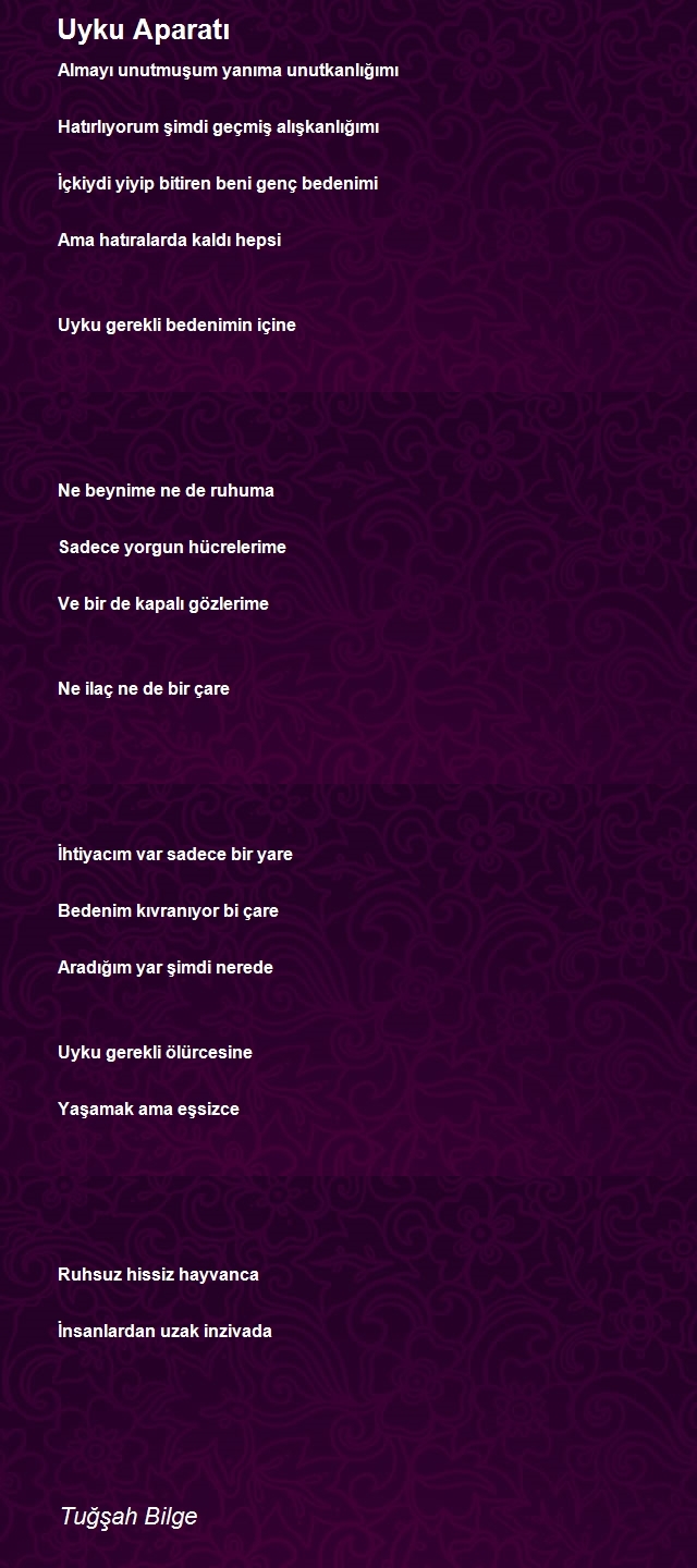 Tuğşah Bilge