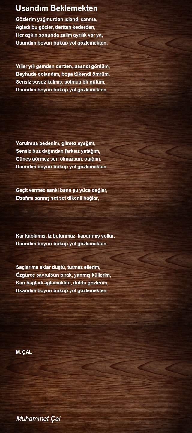 Muhammet Çal