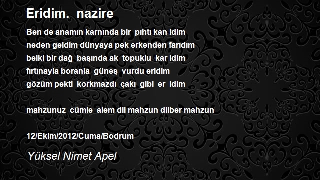 Yüksel Nimet Apel