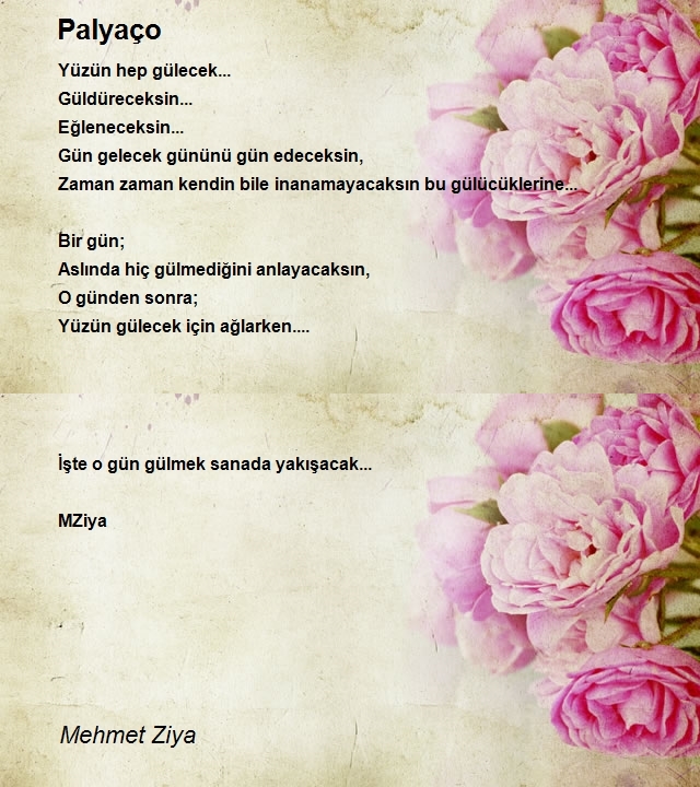 Mehmet Ziya