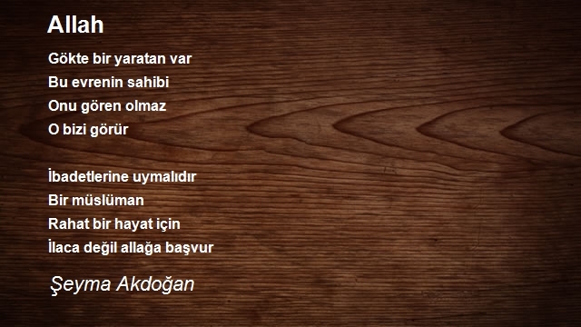Şeyma Akdoğan