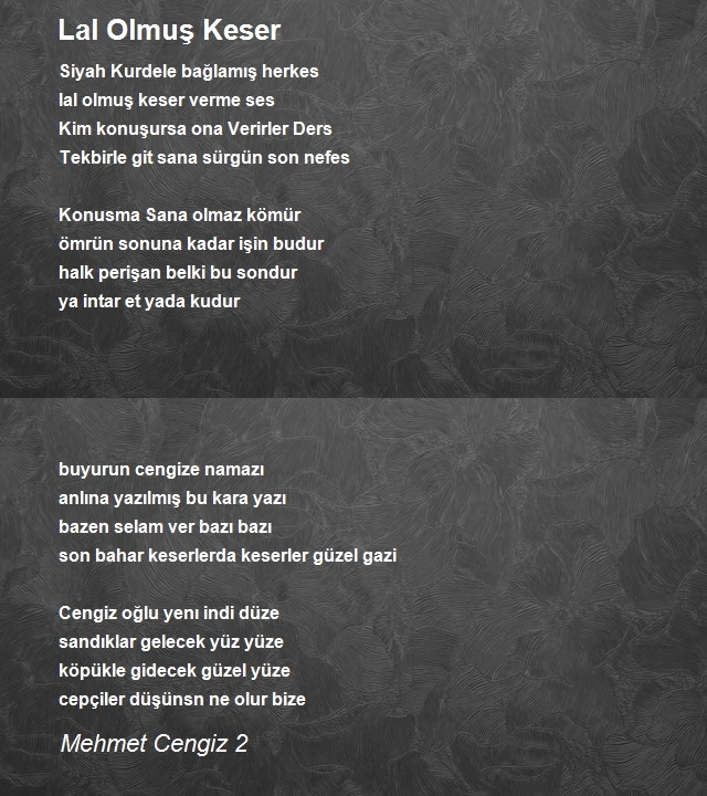 Mehmet Cengiz 2