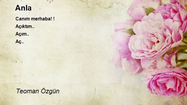Teoman Özgün