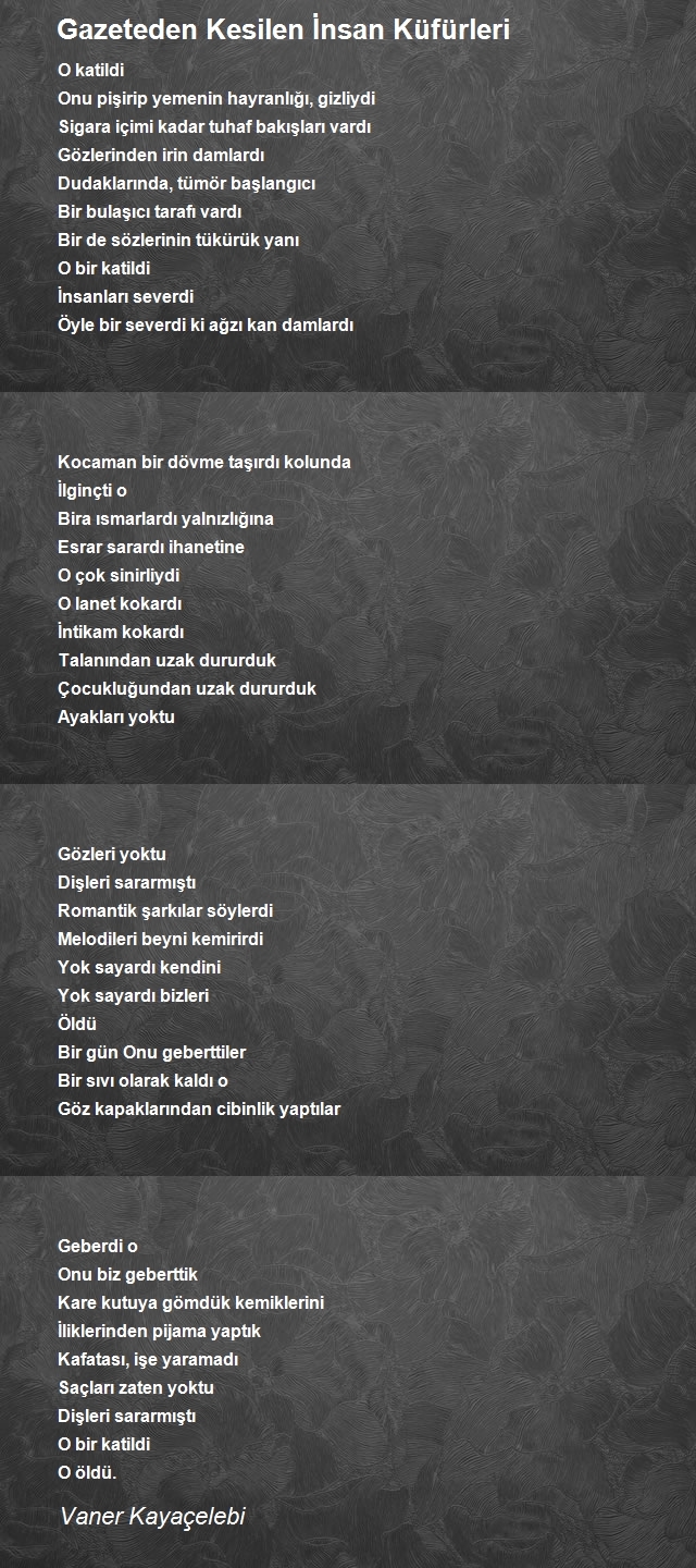 Vaner Kayaçelebi