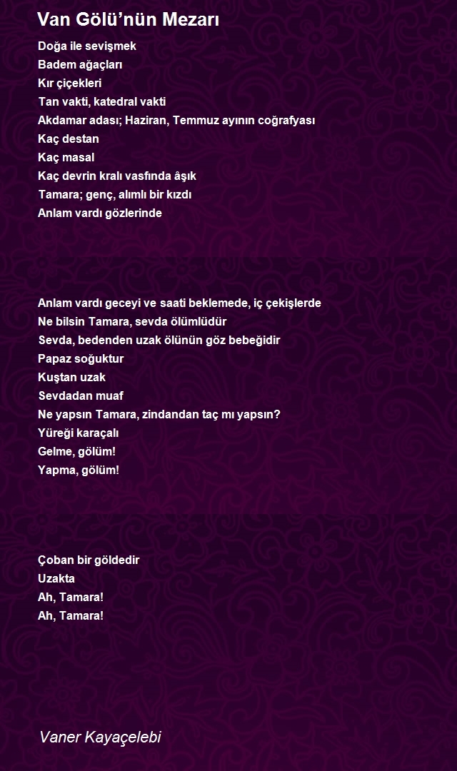 Vaner Kayaçelebi