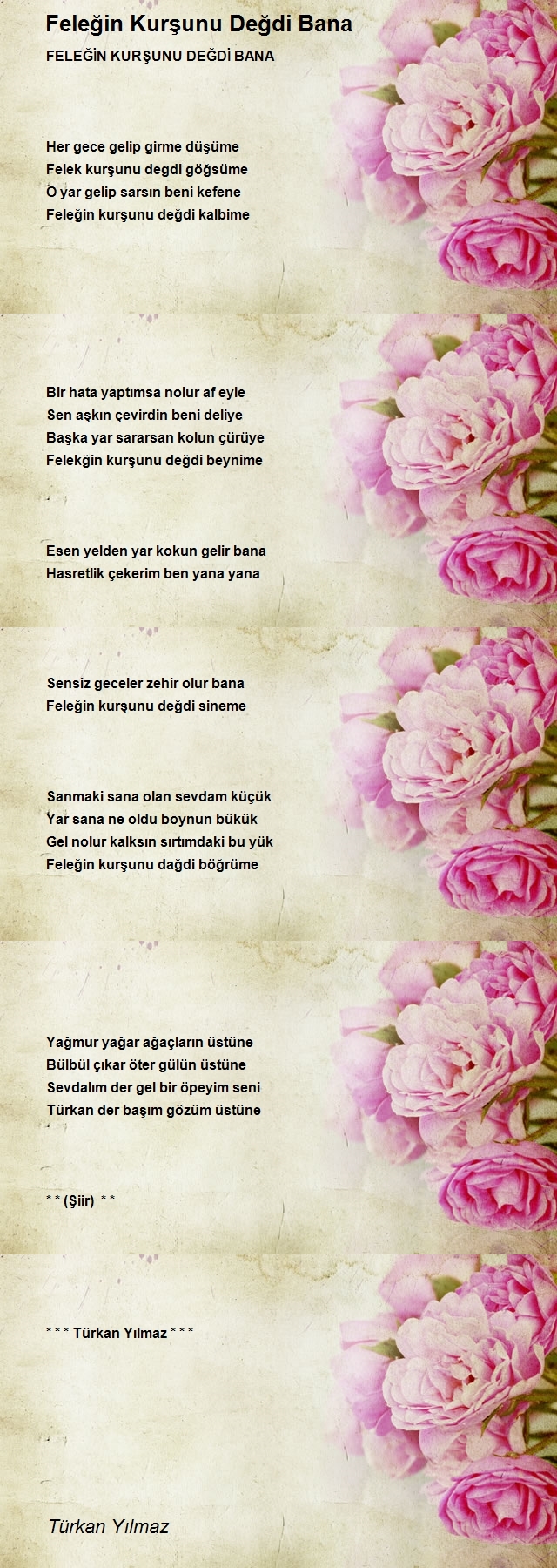 Türkan Yılmaz