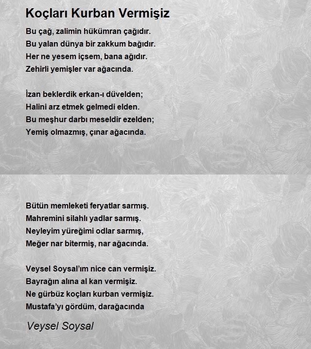 Veysel Soysal