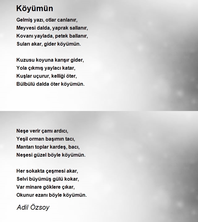 Adil Özsoy