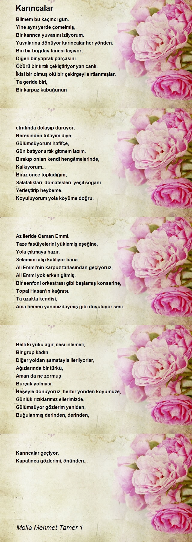 Molla Mehmet Tamer 1