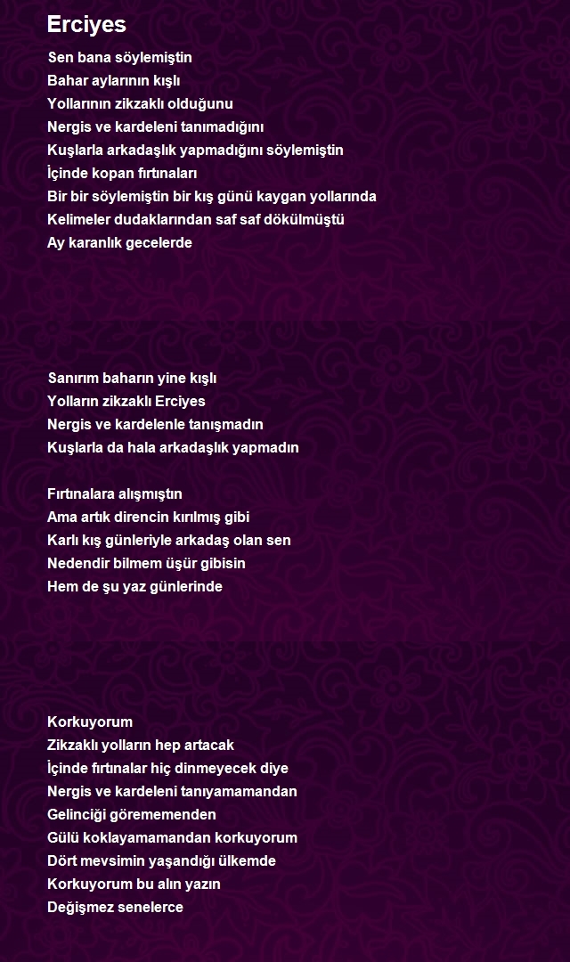 Ergül Sırkıntı