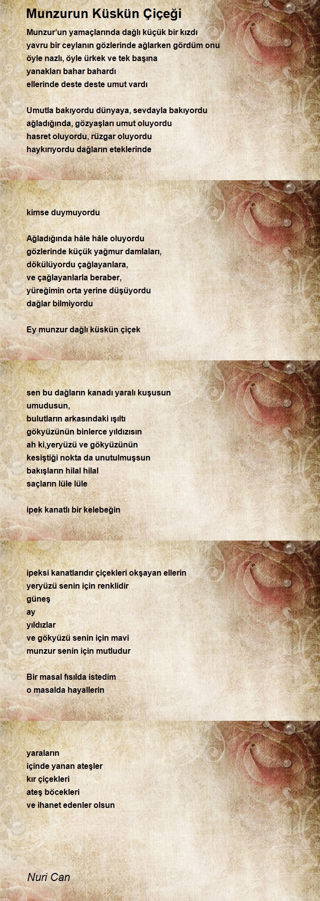 Nuri Can