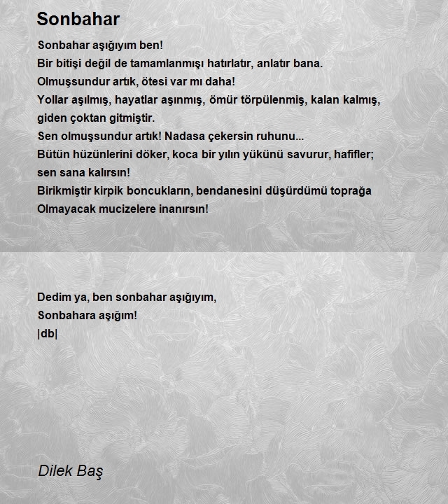 Dilek Baş