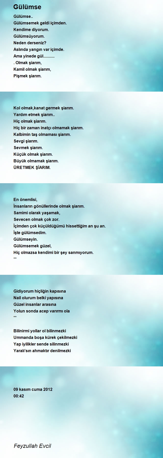 Feyzullah Evcil