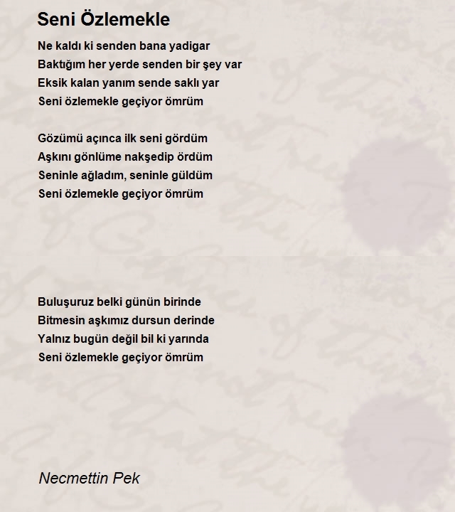 Necmettin Pek