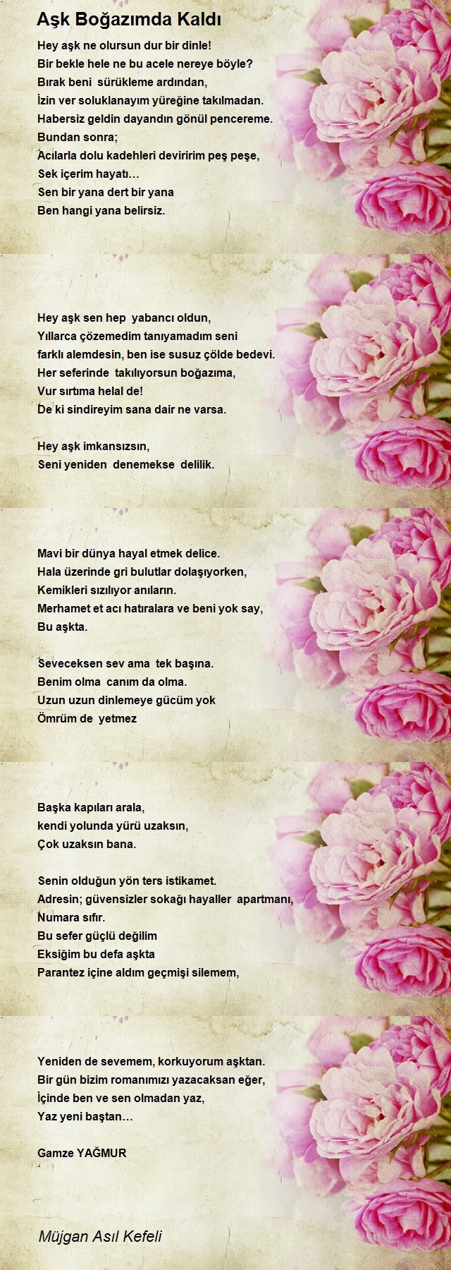 Müjgan Asıl Kefeli