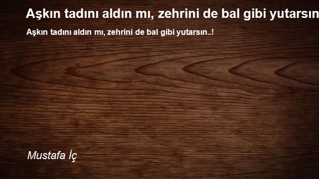 Mustafa İç