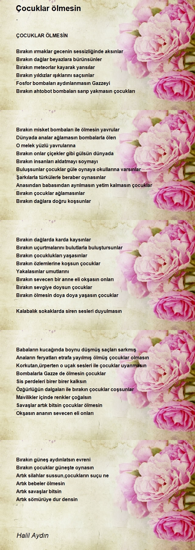 Halil Aydın