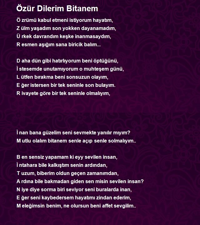 Ahmet Şahin Bayraklı