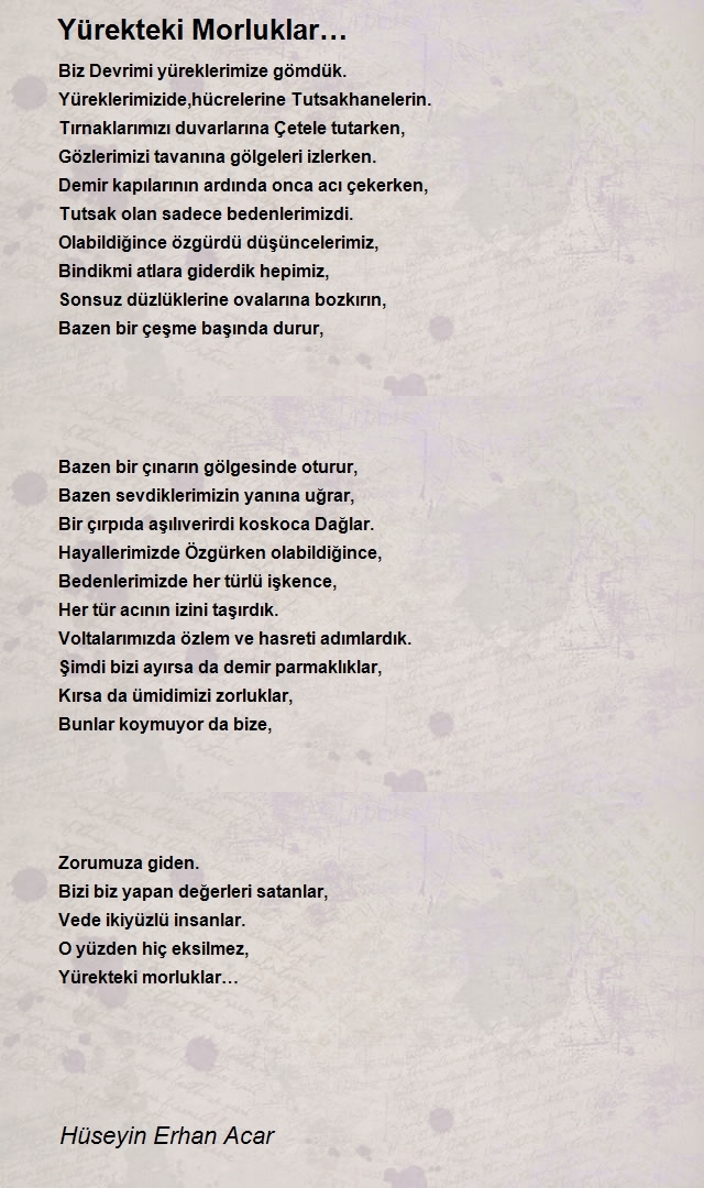 Hüseyin Erhan Acar