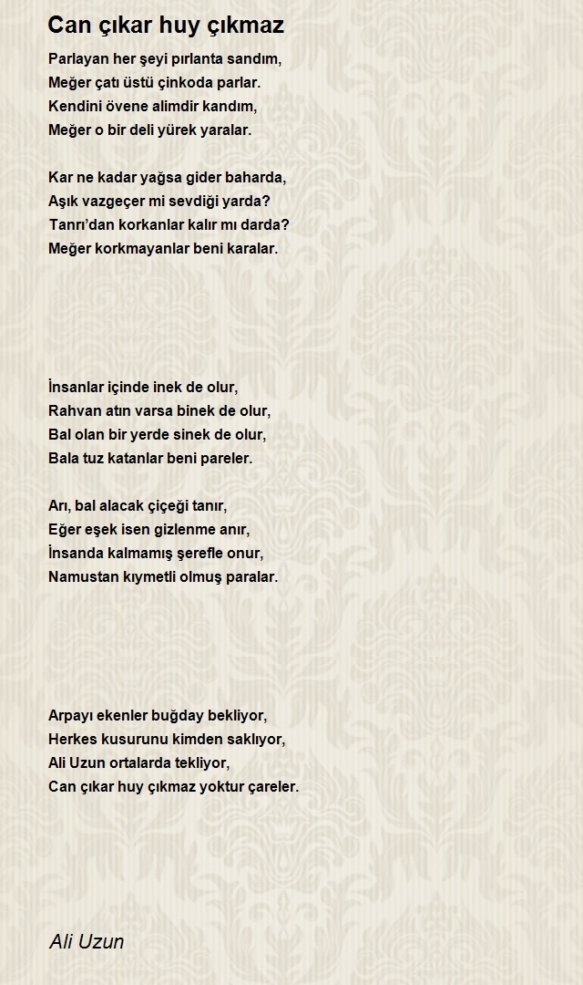 Ali Uzun