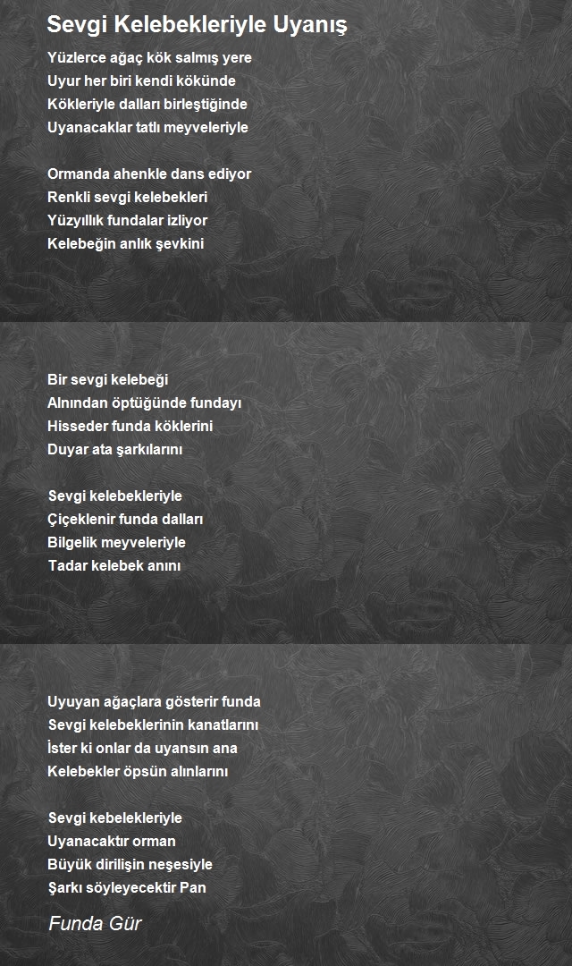 Funda Gür