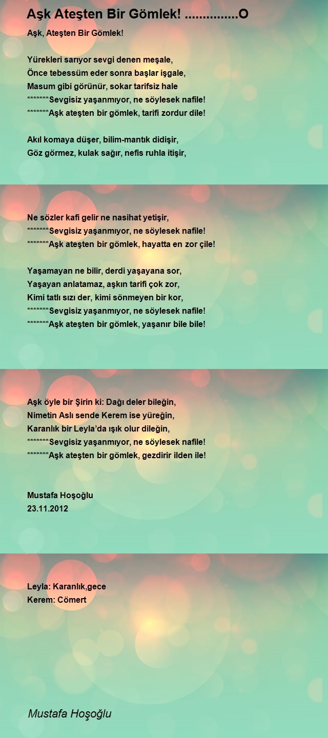 Mustafa Hoşoğlu