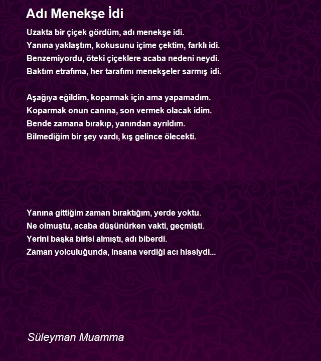 Süleyman Muamma