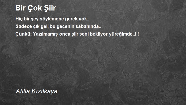Atilla Kızılkaya