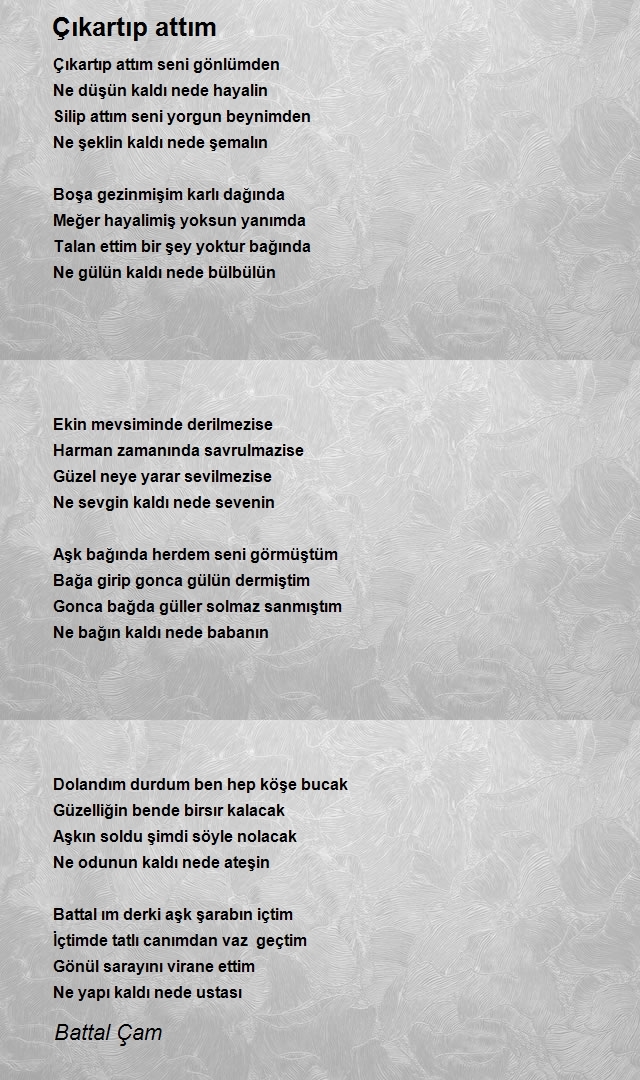 Battal Çam