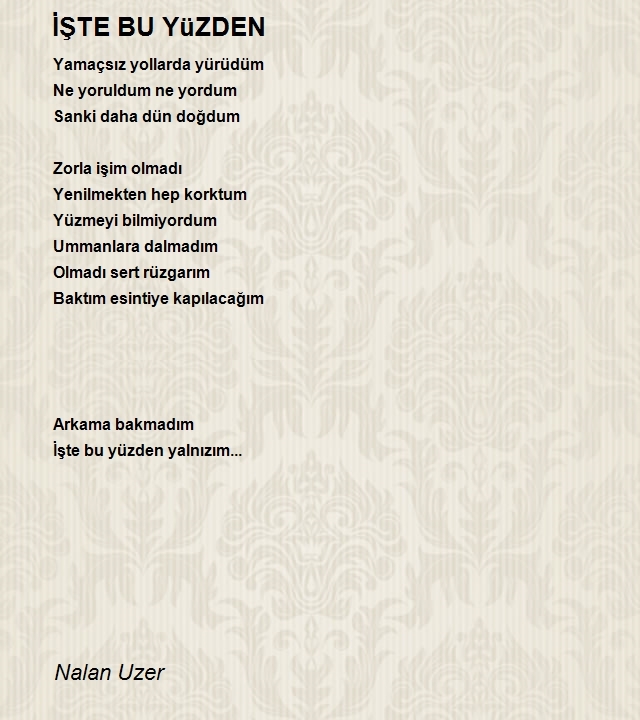 Nalan Uzer