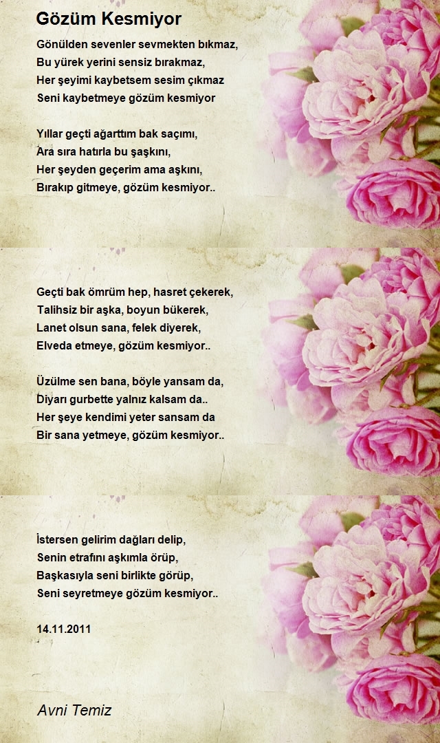 Avni Temiz