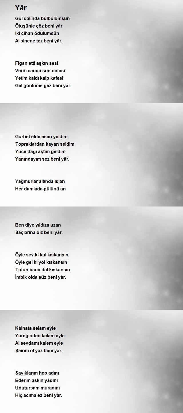 Leylâ Usta