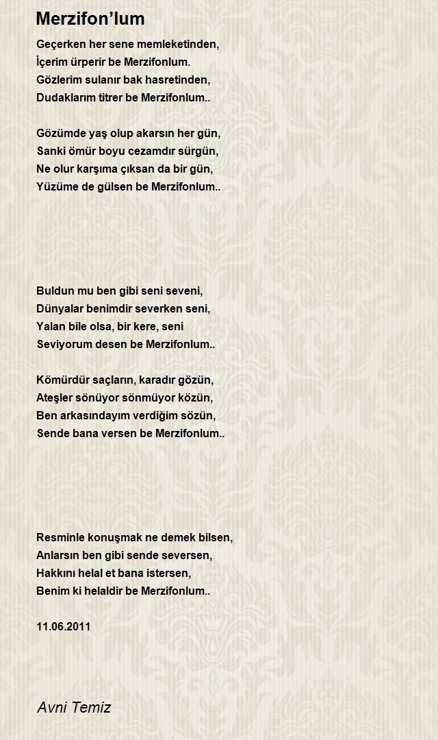 Avni Temiz