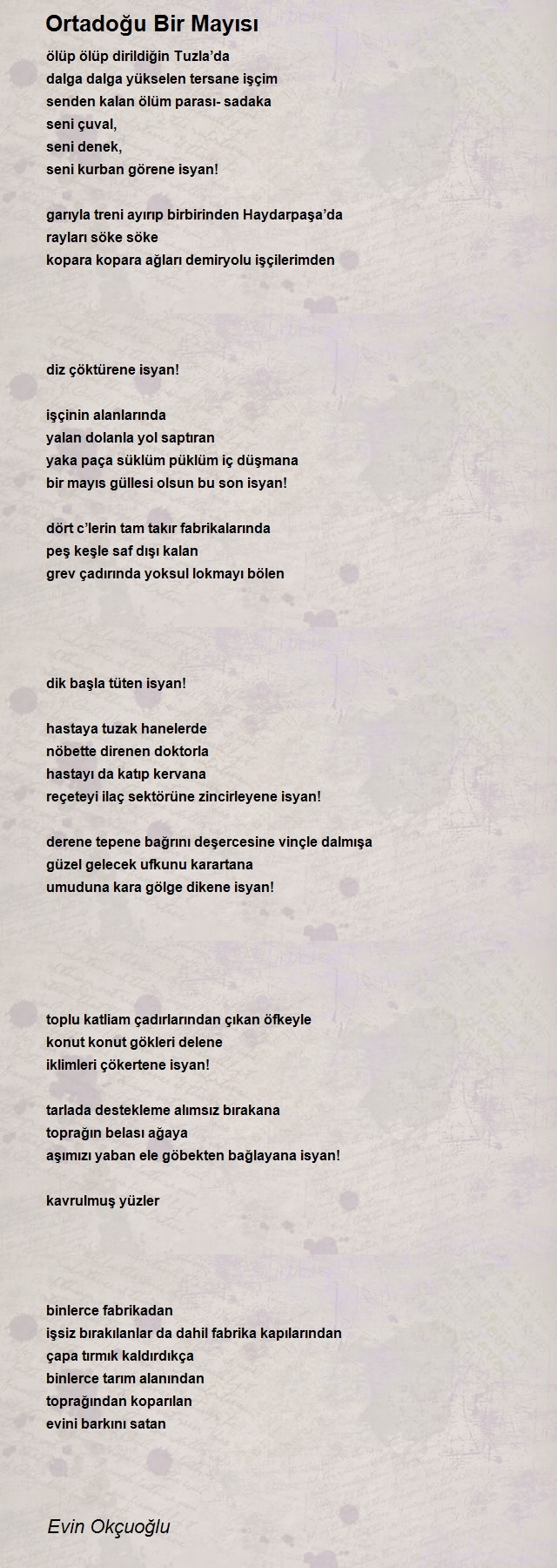 Evin Okçuoğlu