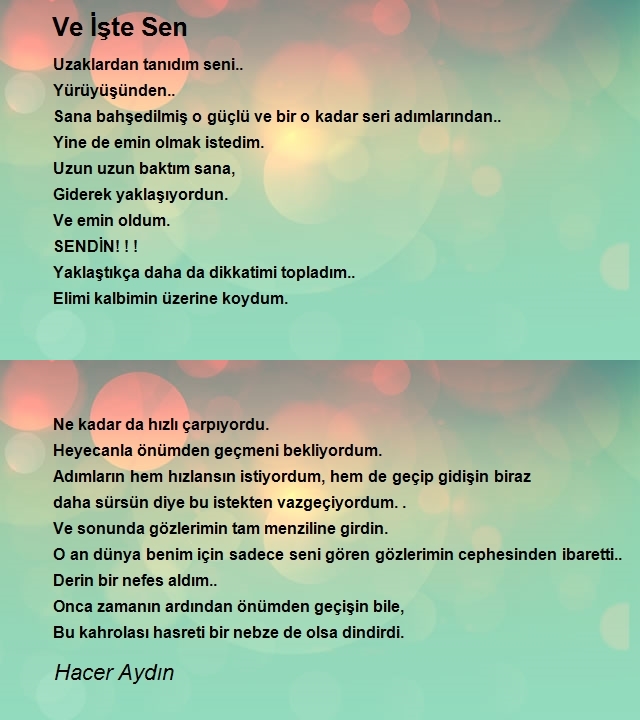 Hacer Aydın