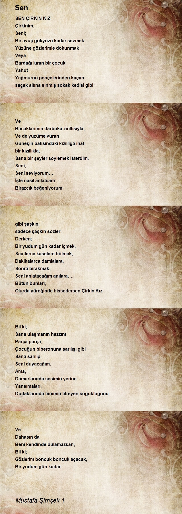 Mustafa Şimşek 1