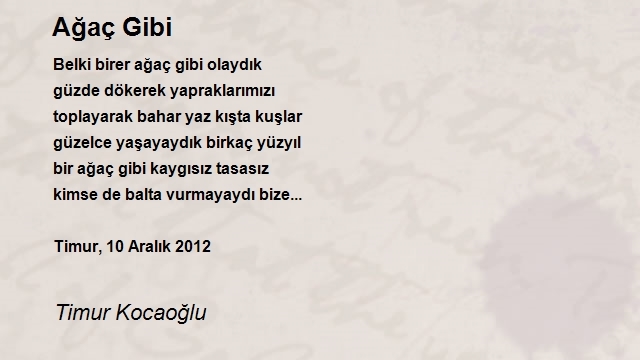 Timur Kocaoğlu