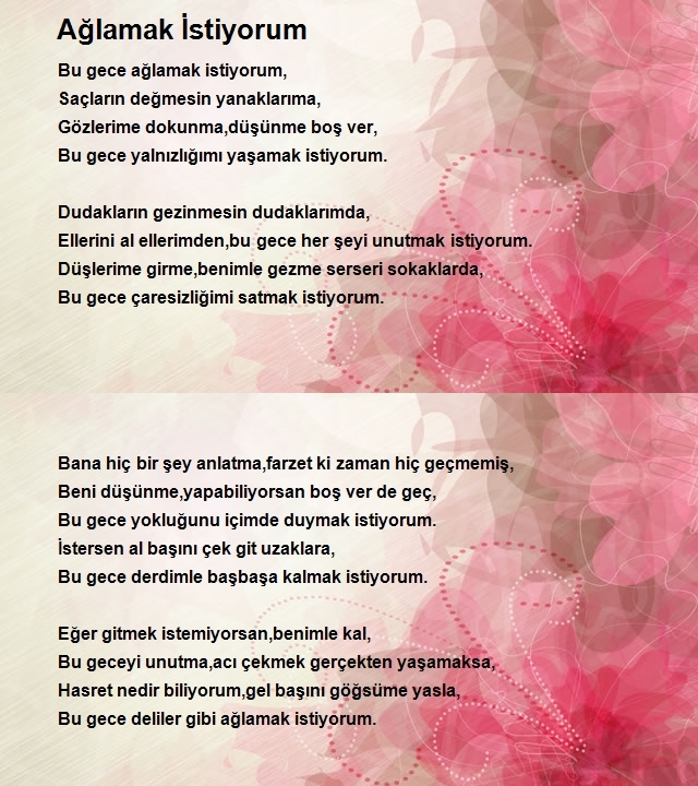 Ahmet Beltekin
