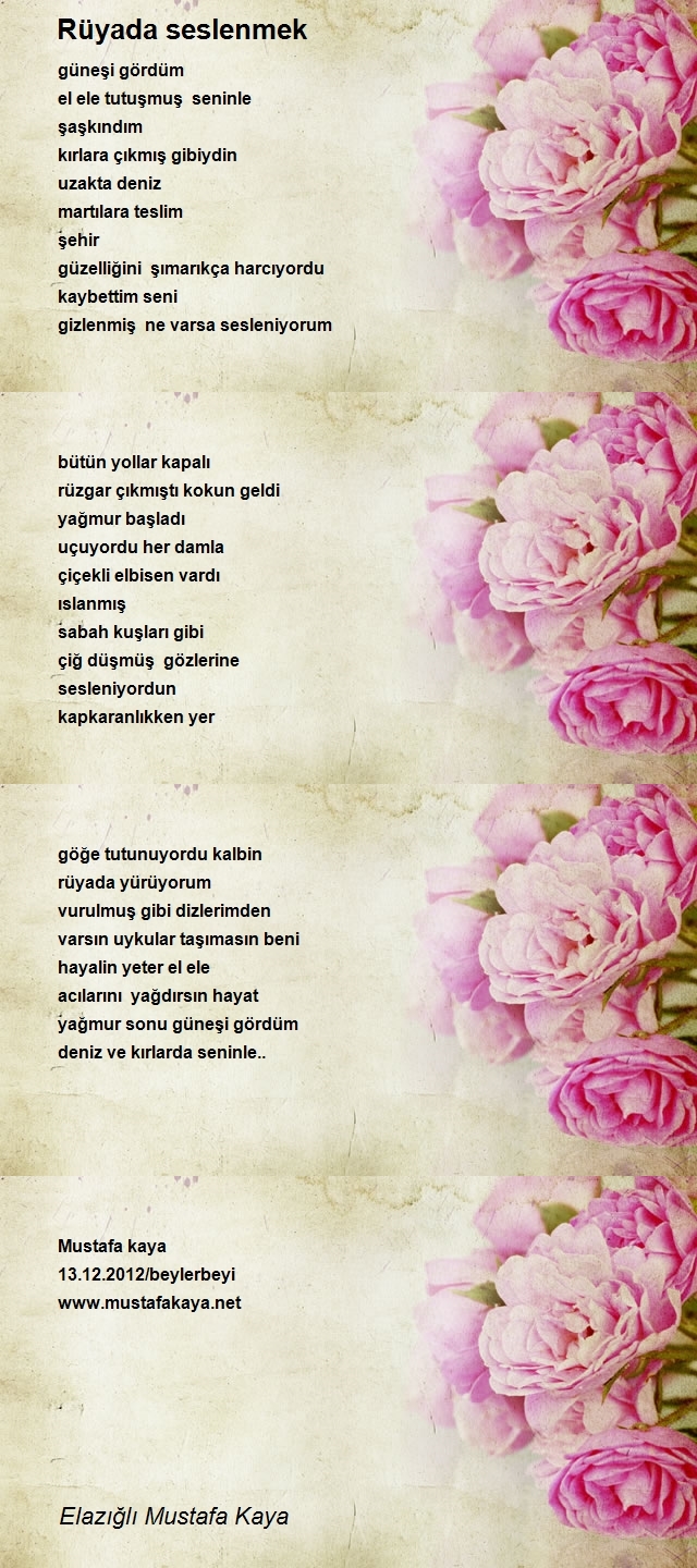 Elazığlı Mustafa Kaya
