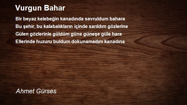 Ahmet Gürses