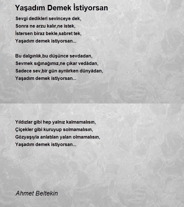 Ahmet Beltekin