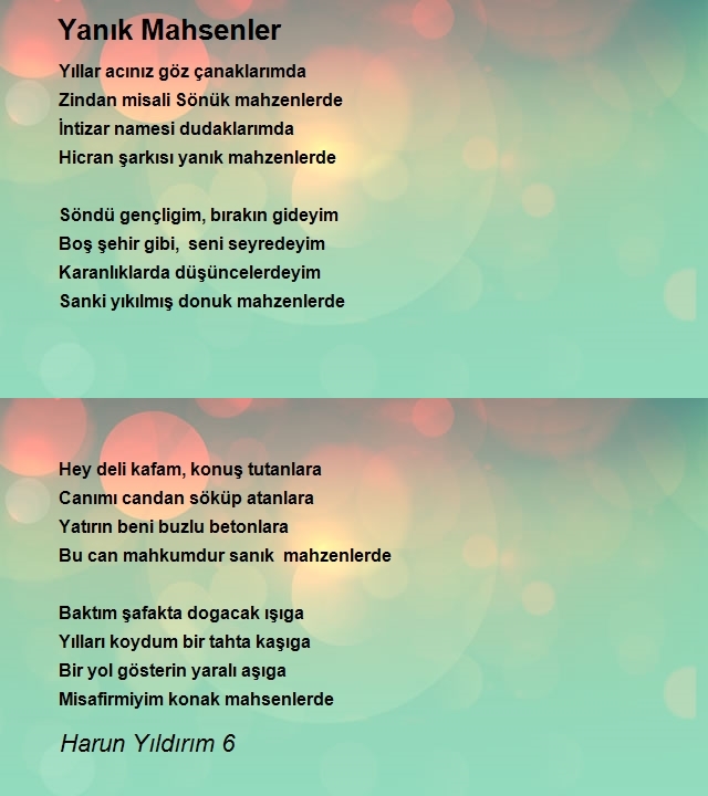 Harun Yıldırım 6